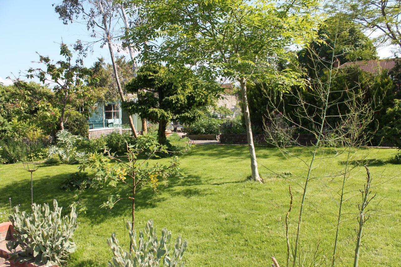 The School House Bed & Breakfast Bridgwater Exterior foto
